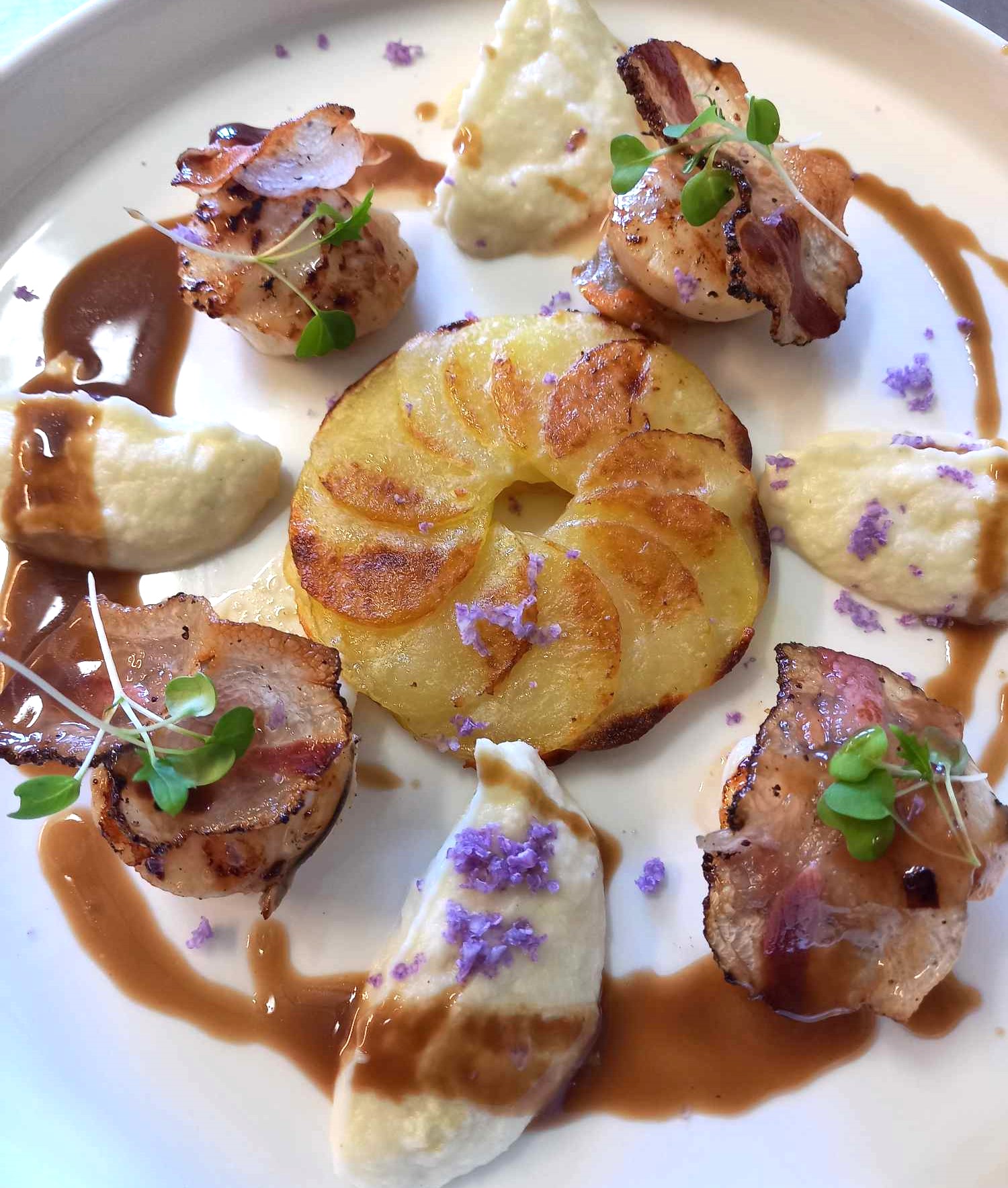 Noix de coquilles St jacques snackées