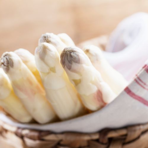 Asperges des Landes