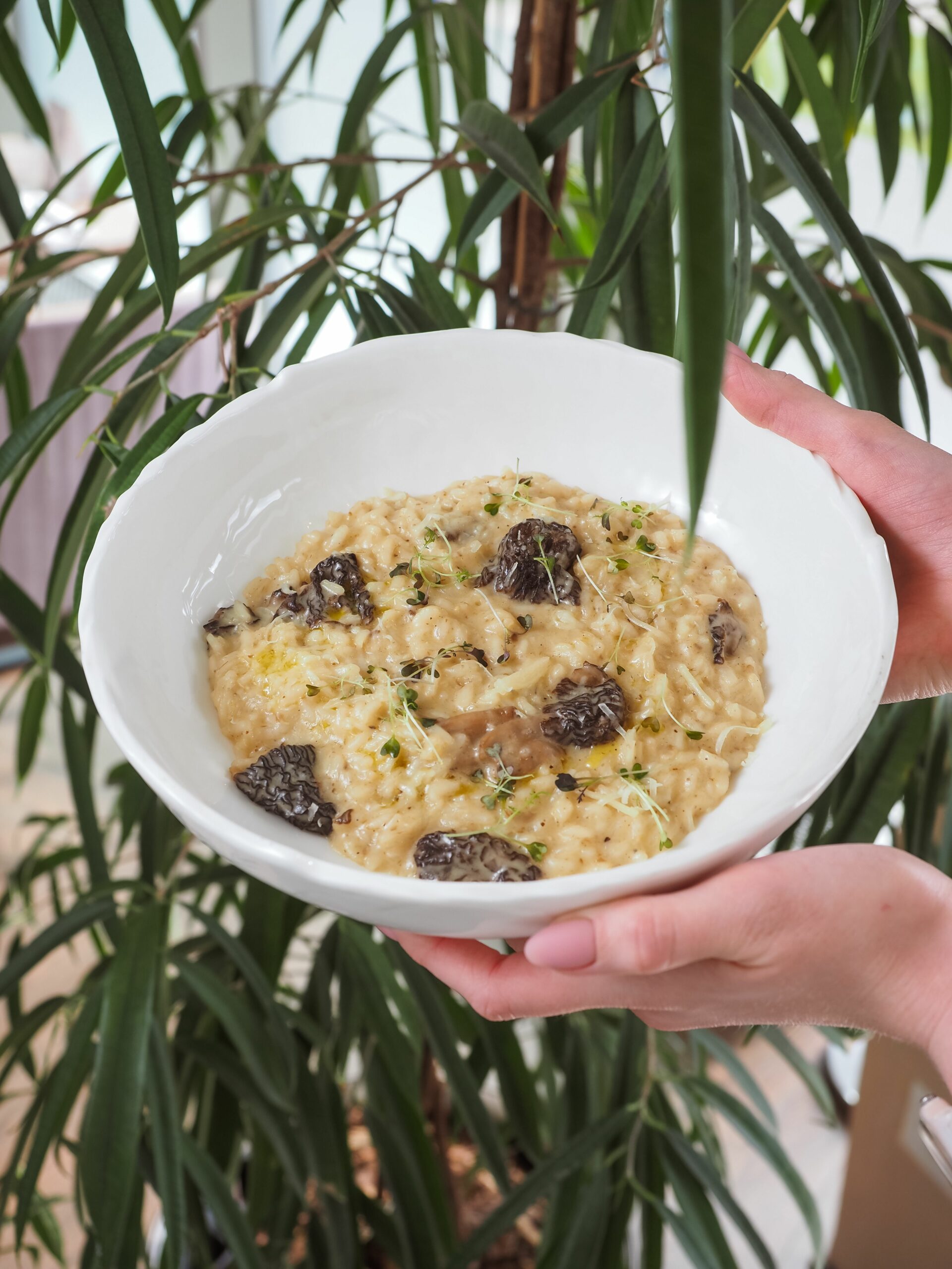 risotto